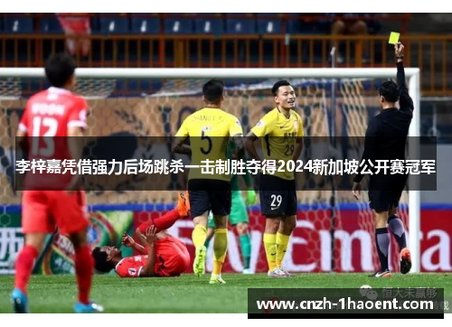 李梓嘉凭借强力后场跳杀一击制胜夺得2024新加坡公开赛冠军