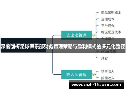 深度剖析足球俱乐部财务管理策略与盈利模式的多元化路径