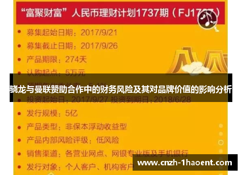 骁龙与曼联赞助合作中的财务风险及其对品牌价值的影响分析